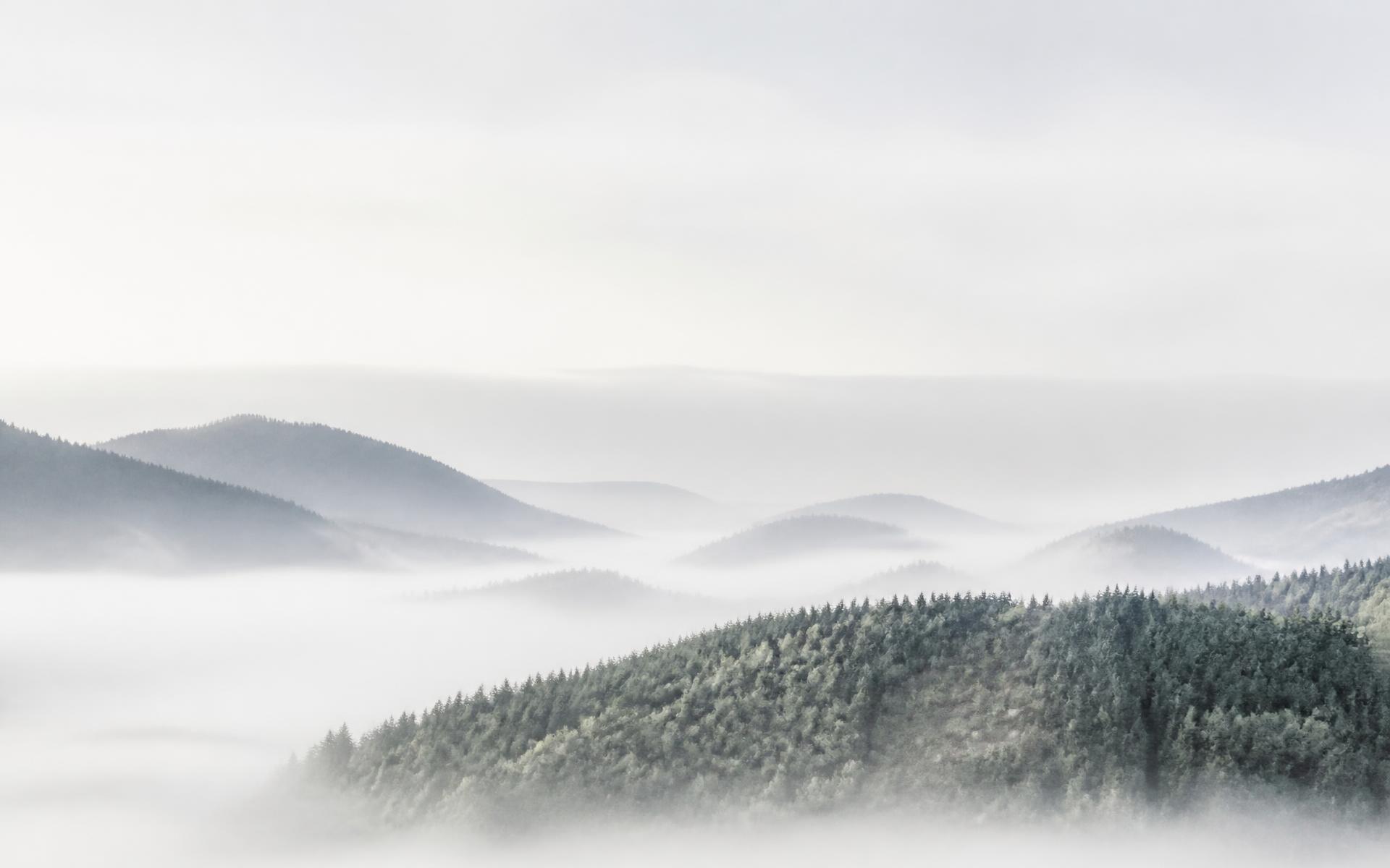 Bewaldete Höhenzüge des Thüringer Waldes im Morgennebel