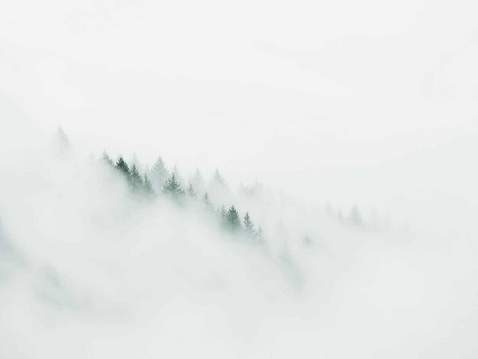 Bewaldete Hügel Südthüringens im Morgennebel
